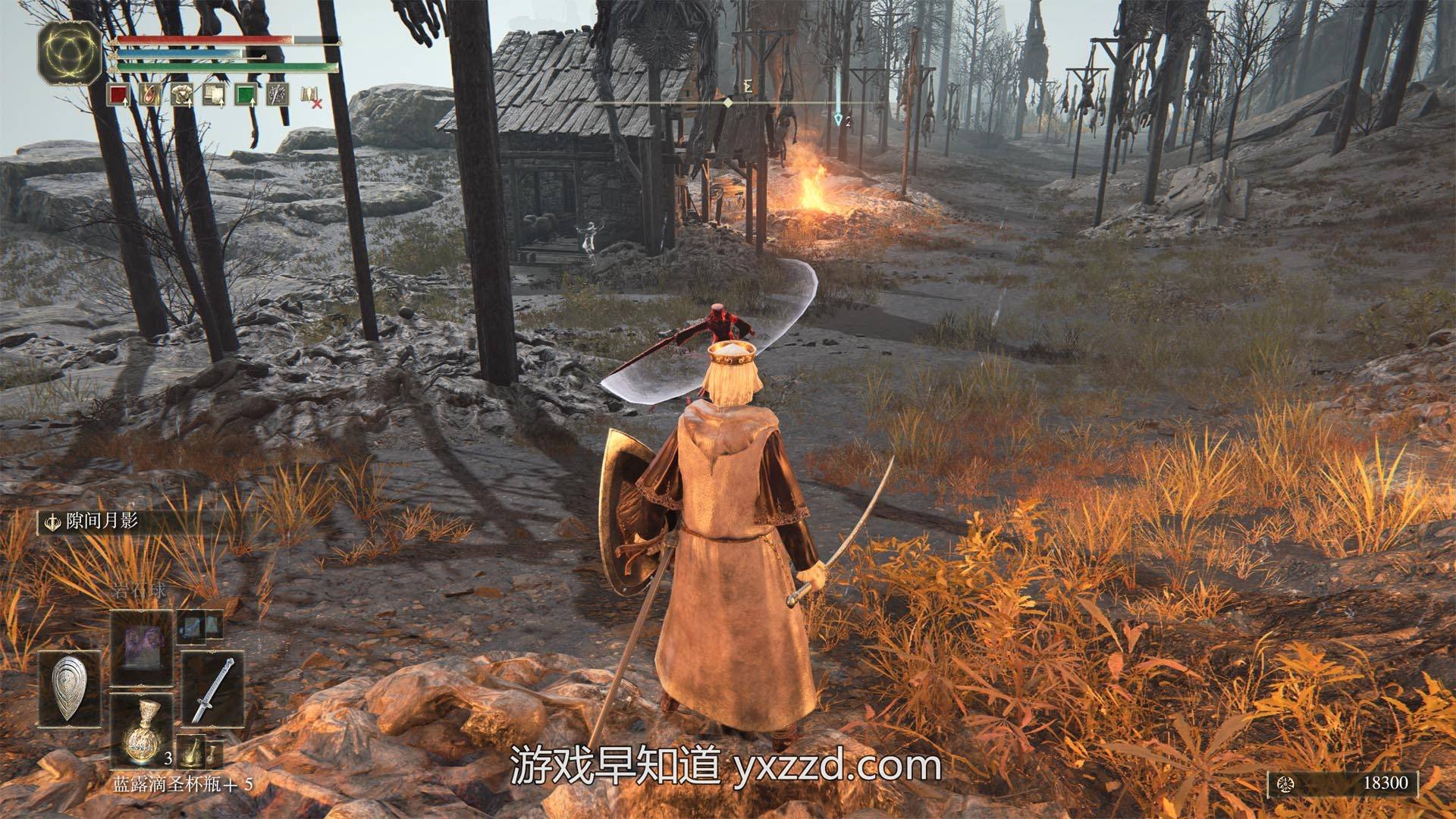 巫师3：狂猎 截图19