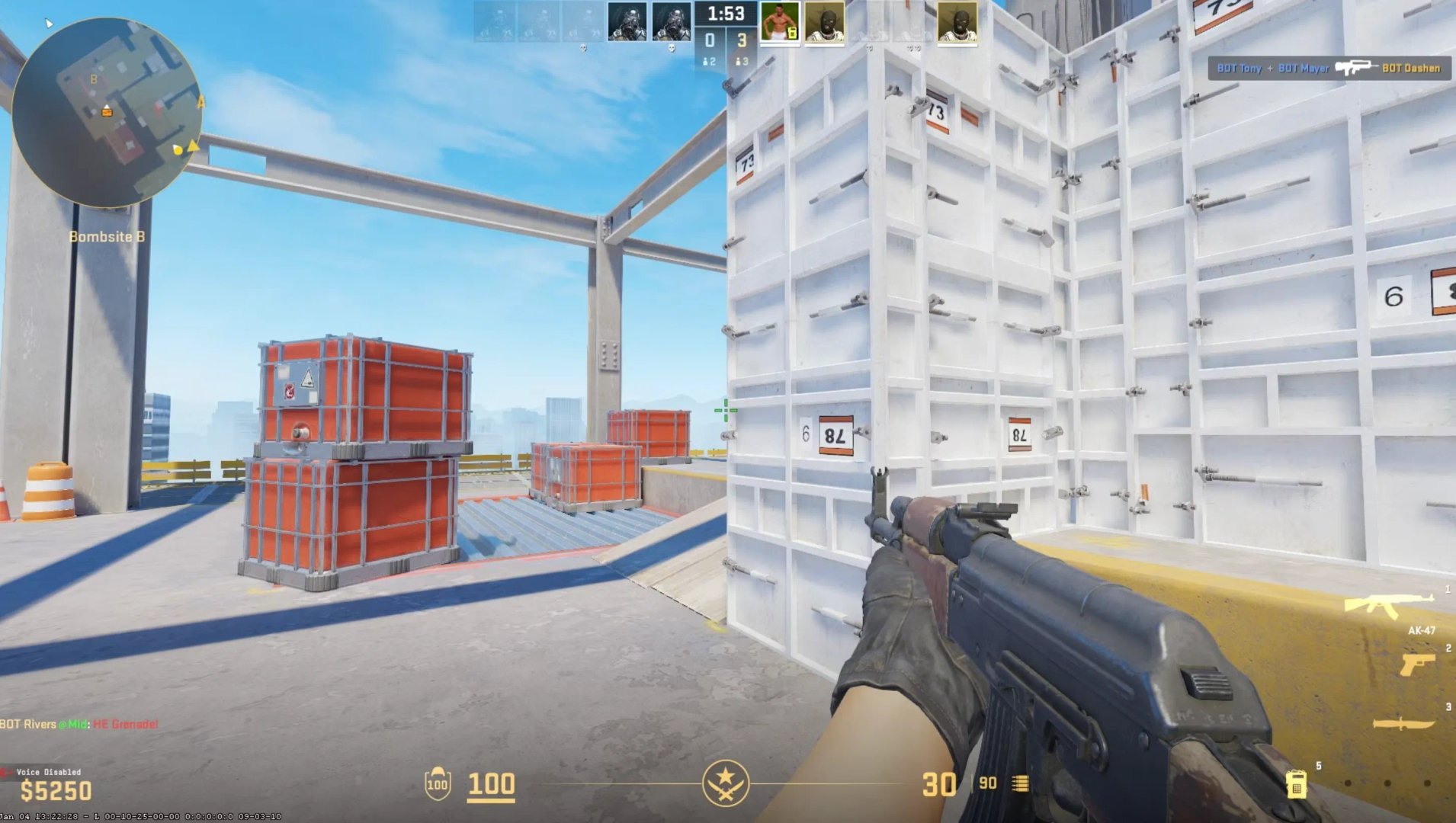 饥荒 年度版 截图9